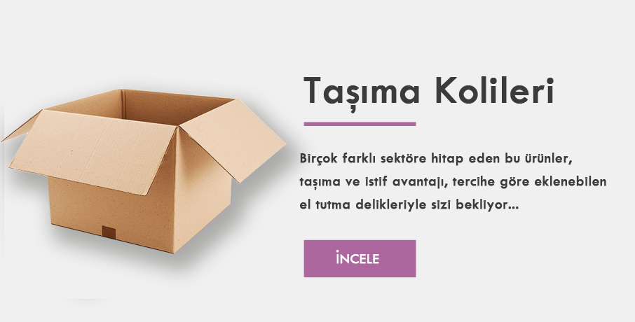 Taşıma Kolileri